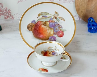 VTG Jaeger Co Germany Orchard Fruit Teacup Trio Set MCM Tea Party Cottage Farm