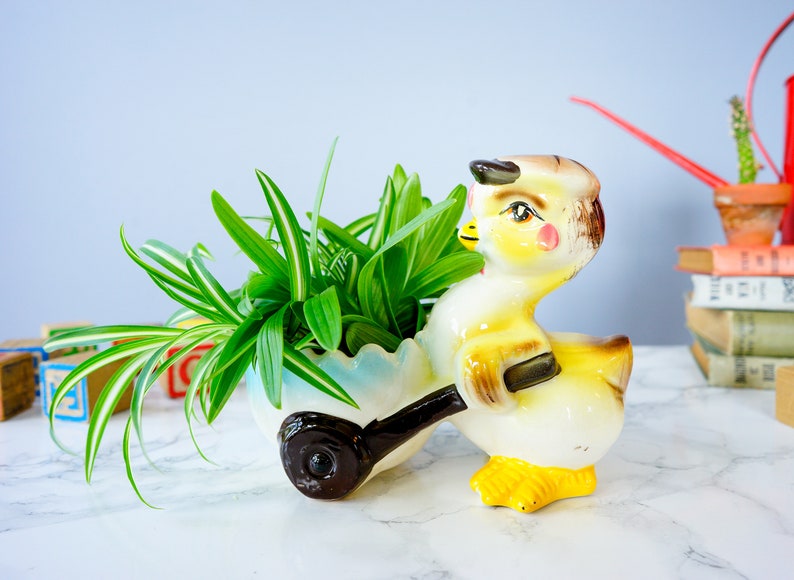 May include: A yellow ceramic chick planter pushing a blue and white wheelbarrow planter. The chick has a brown hat and red cheeks. The planter is filled with green spider plants.