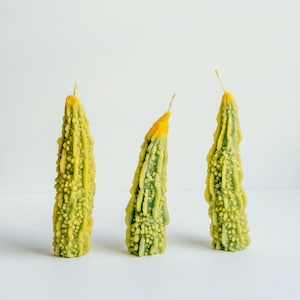 Beeswax Bitter Melon Candle