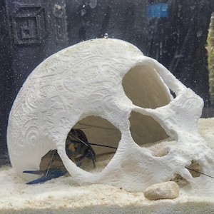 3D printed highly detailed skull for aquarium hideaway fish tank decoration