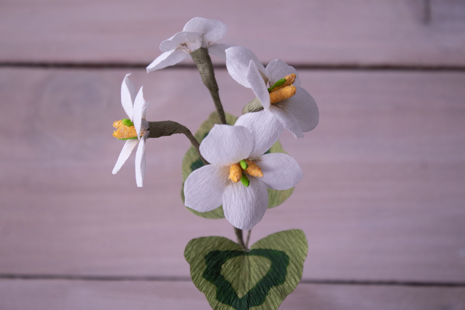 Qingxin Paper Flower White Crepe Paper Wedding Bloom Paper Etsy