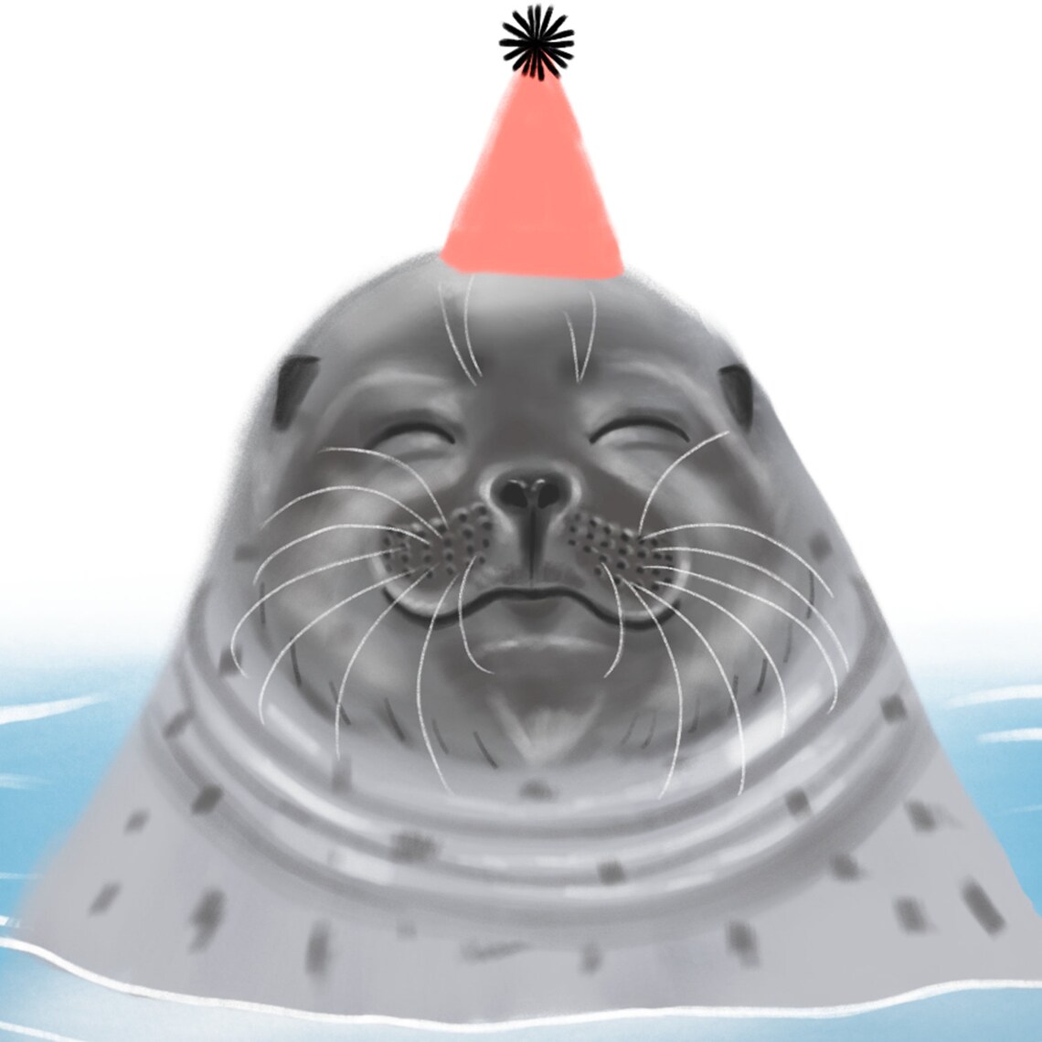 Birthday Seal Cute greetings card Birthday Celebrate Cute Etsy