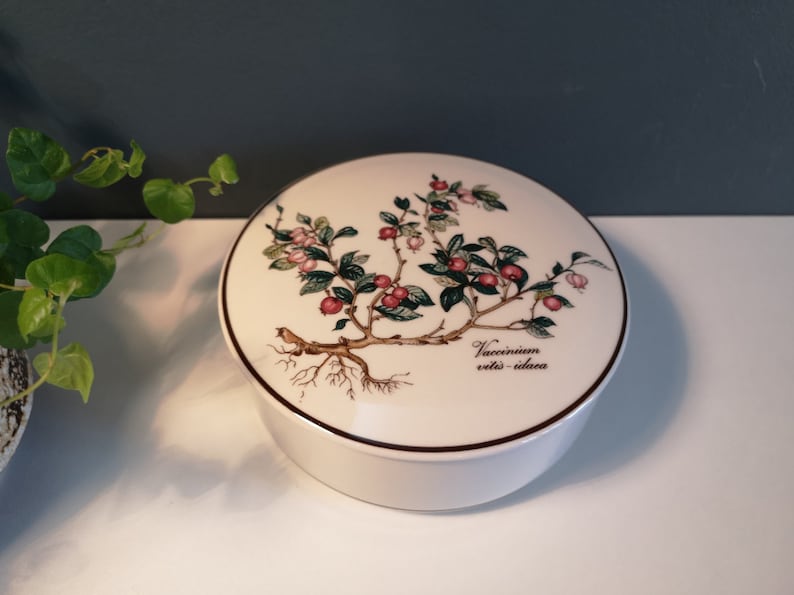 Może przedstawiać: Białe ceramiczne pudełko z pokrywką i brązową obw&oacute;dką, z botanicznym rysunkiem rośliny z zielonymi liśćmi i r&oacute;żowymi jagodami. Na pokrywce nadrukowany jest tekst "Vaccinium vitis-idaea".