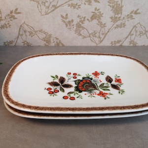Piatti da portata vintage con decorazioni retrò con fiori rossi e marroni, Schumann Arzberg, Baviera Germania, set di 2.
