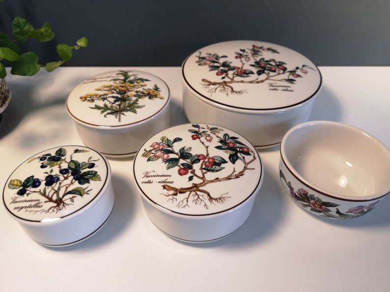 Może przedstawiać: Zestaw pięciu białych, okrągłych pudełek ceramicznych z kwiatowymi wzorami. Pudełka przedstawiają botaniczne ilustracje r&oacute;żnych roślin i kwiat&oacute;w, w tym jag&oacute;d, żurawiny i ż&oacute;łtych kwiat&oacute;w. Pudełka są wszystkie okrągłe i mają lekko uniesiony brzeg.