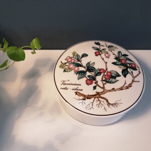 Może przedstawiać: Białe ceramiczne pudełko z pokrywką i botanicznym rysunkiem rośliny z r&oacute;żowymi jagodami i zielonymi liśćmi. Na pudełku nadrukowany jest tekst "Vaccinium vitis-idaea".