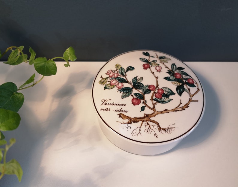 Może przedstawiać: Białe ceramiczne pudełko z pokrywką i botanicznym rysunkiem rośliny z r&oacute;żowymi jagodami i zielonymi liśćmi. Na pudełku nadrukowany jest tekst "Vaccinium vitis-idaea".