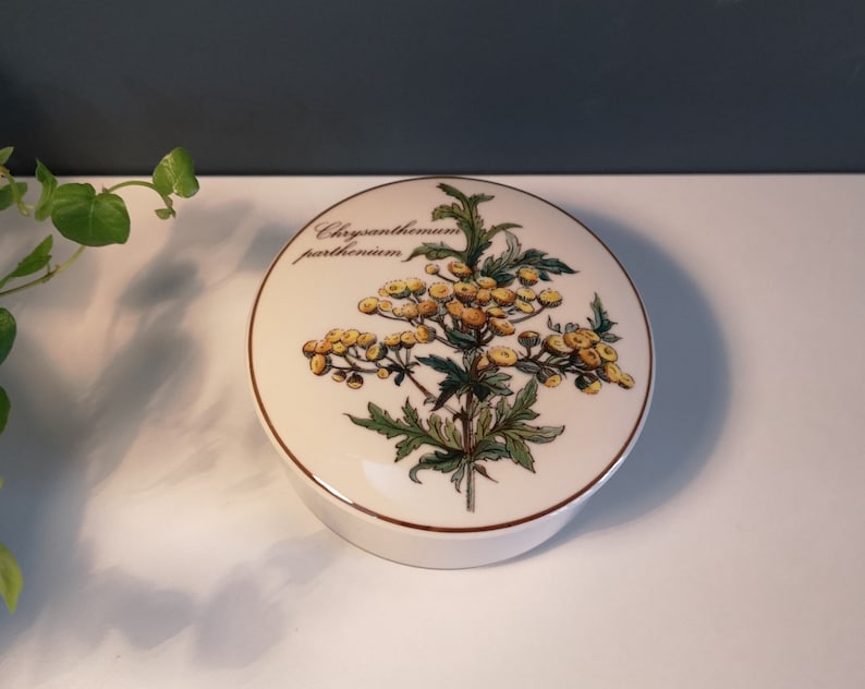 Może przedstawiać: Okrągłe pudełko z białej ceramiki z pokrywką przedstawiającą botaniczny rysunek rośliny Chrysanthemum parthenium z ż&oacute;łtymi kwiatami i zielonymi liśćmi.