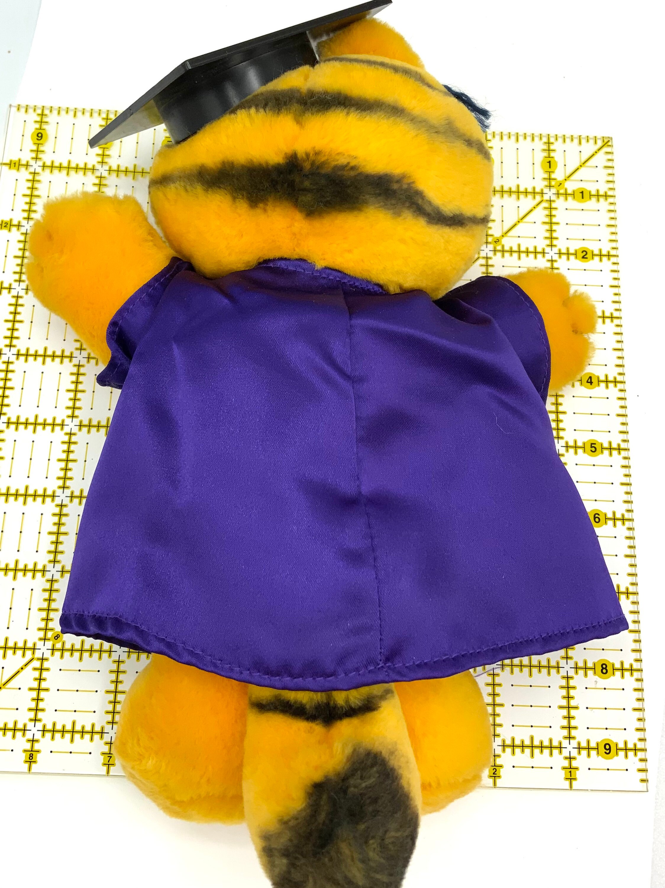 Gorgeous Collectible and Vintage Graduation Garfield, Push Toy