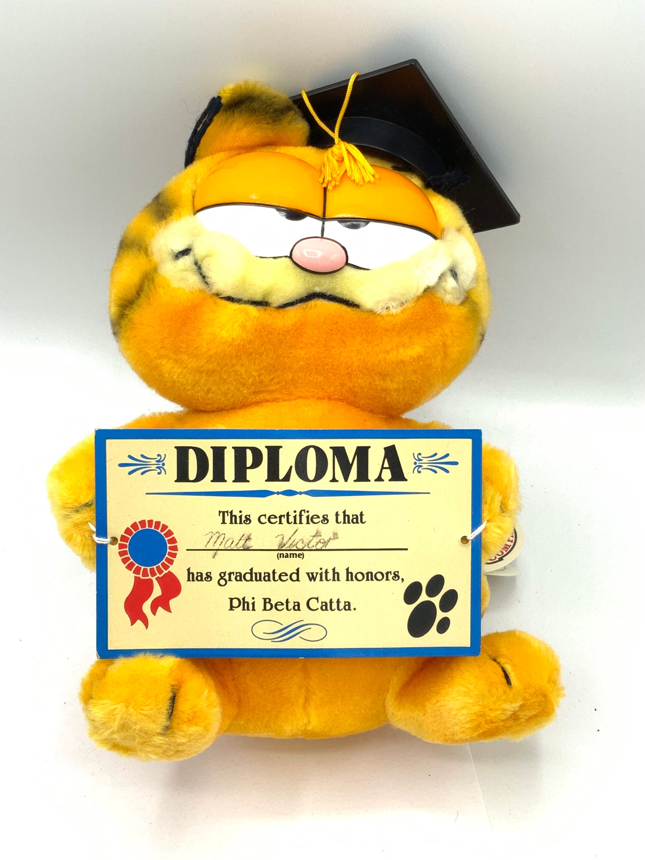 Gorgeous Collectible and Vintage Graduation Garfield, Push Toy