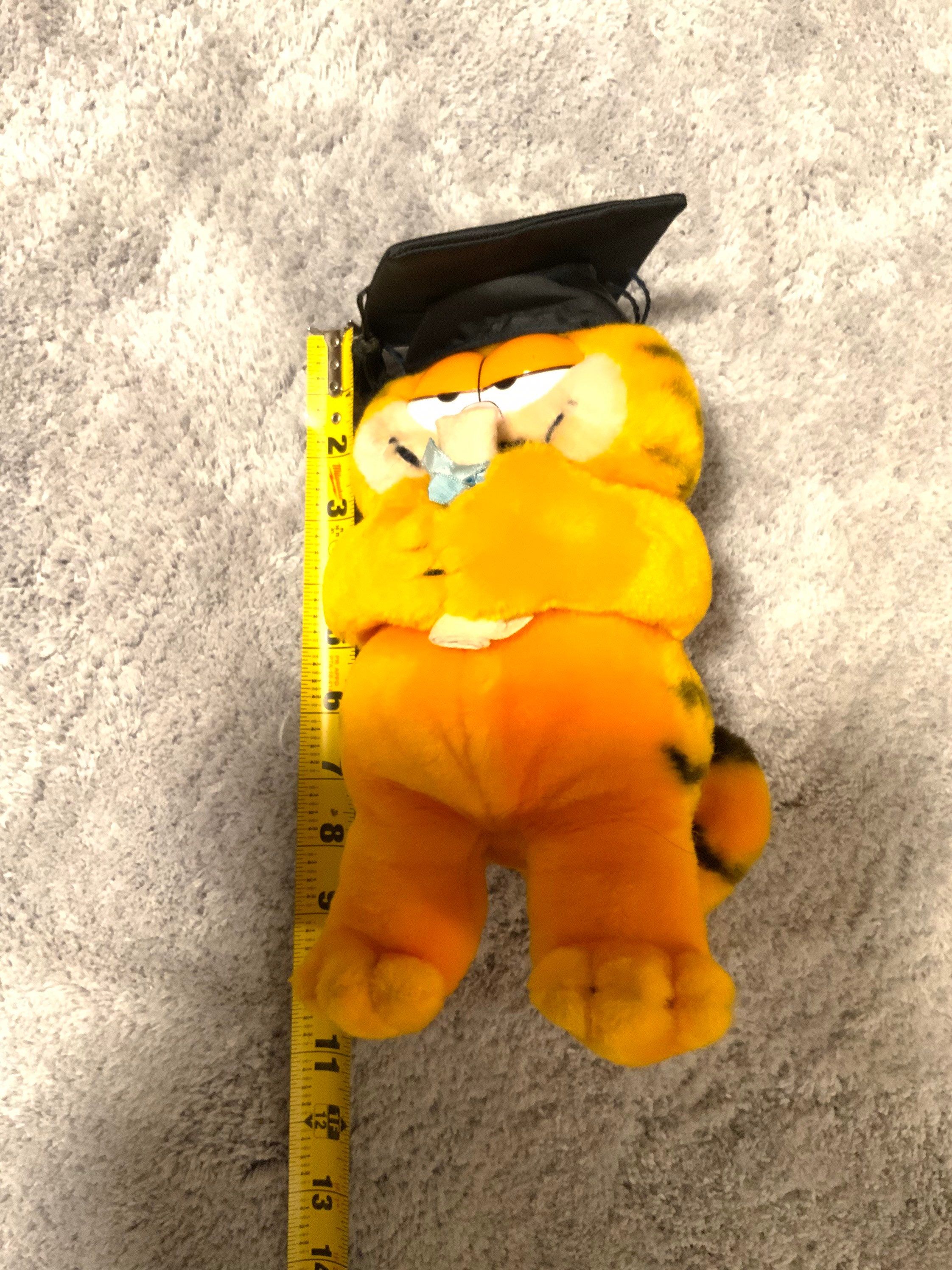 Gorgeous Collectible and Vintage Graduation With Title Garfield