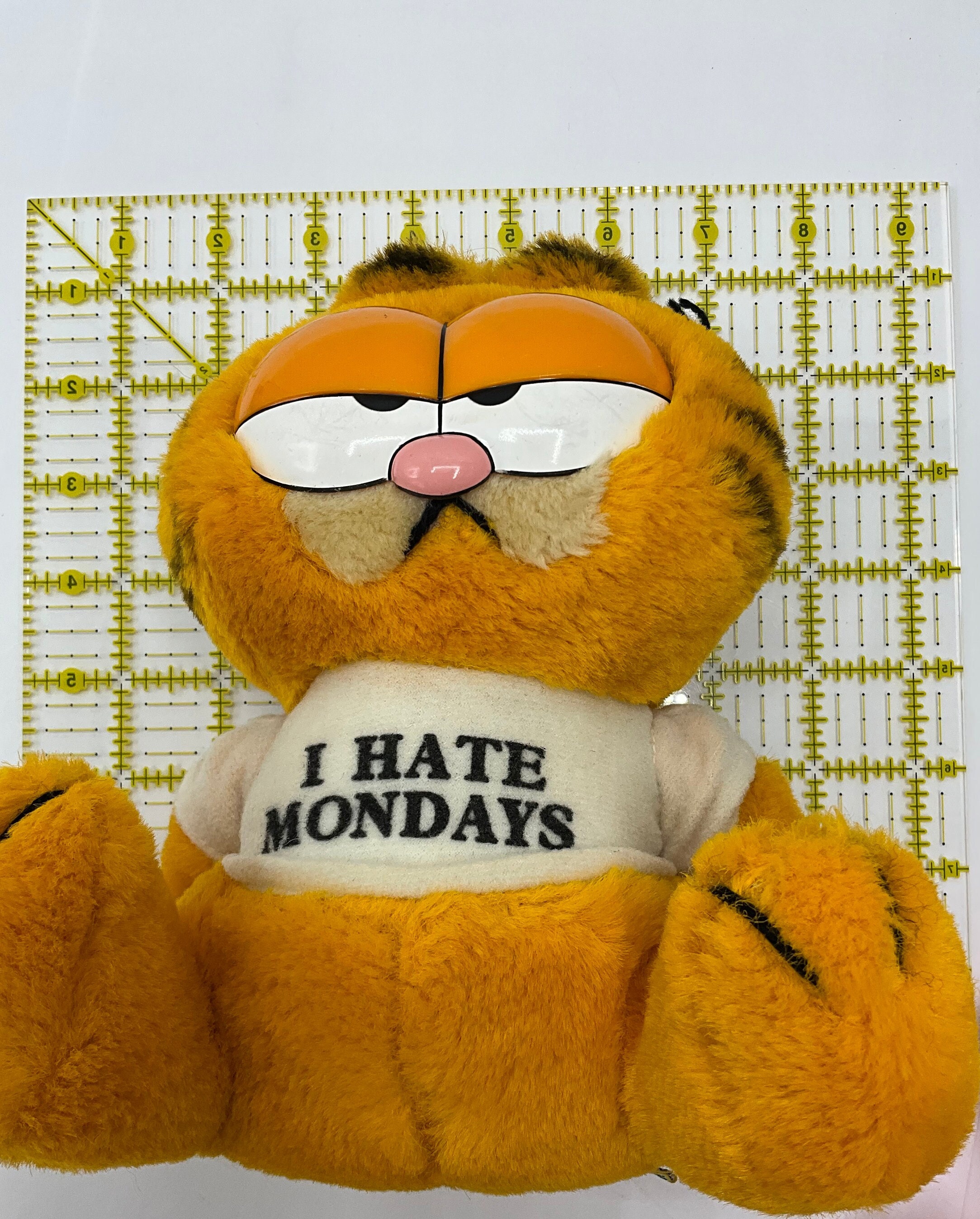 ガーフィールド ぬいぐるみ I HATE MONDAYS ヴィンテージ Gorgeous Collectible and Vintage Garfield I Hate Monday