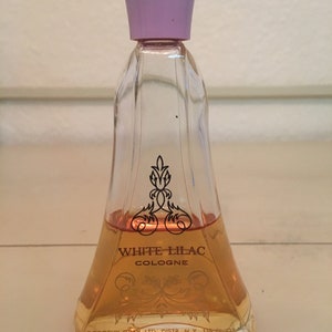 bayla perfume