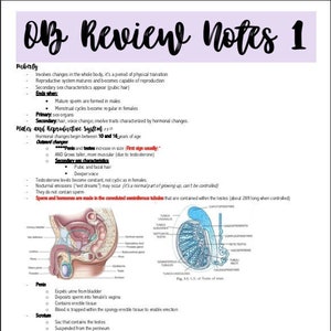 OB Review Package 1 Notes