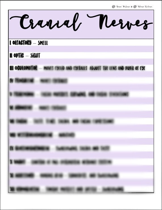 Cranial Nerves Chart Pdf