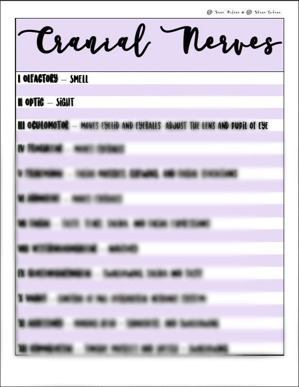 12 Cranial Nerves Study Sheet - A&P + Nursing + Med - Etsy