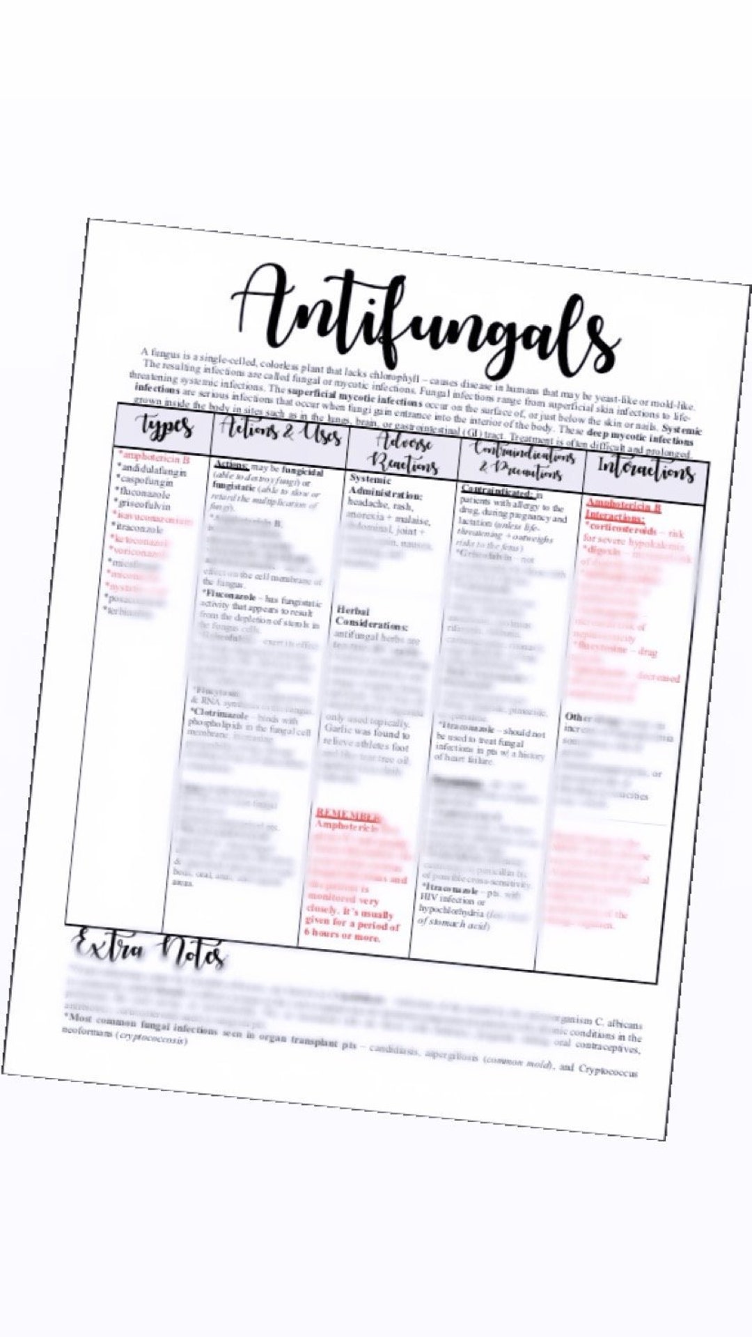 Antifungals Pharmacology Etsy