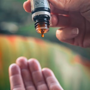 May include: A bottle of Cacao Essential Oil is held over an open hand, with a single drop of oil falling. The bottle is black and white with the words "Cacao Essential Oil" and "Organically Crafted" visible.