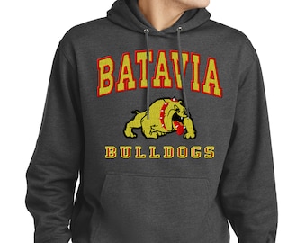 Embroidered School Mascot Hoodie