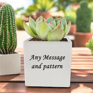 Personalized Succulent Pot Succulent Planter with Drainage Hole, Flower Bonsai Cactus Planter Pot Engraved with Any Message