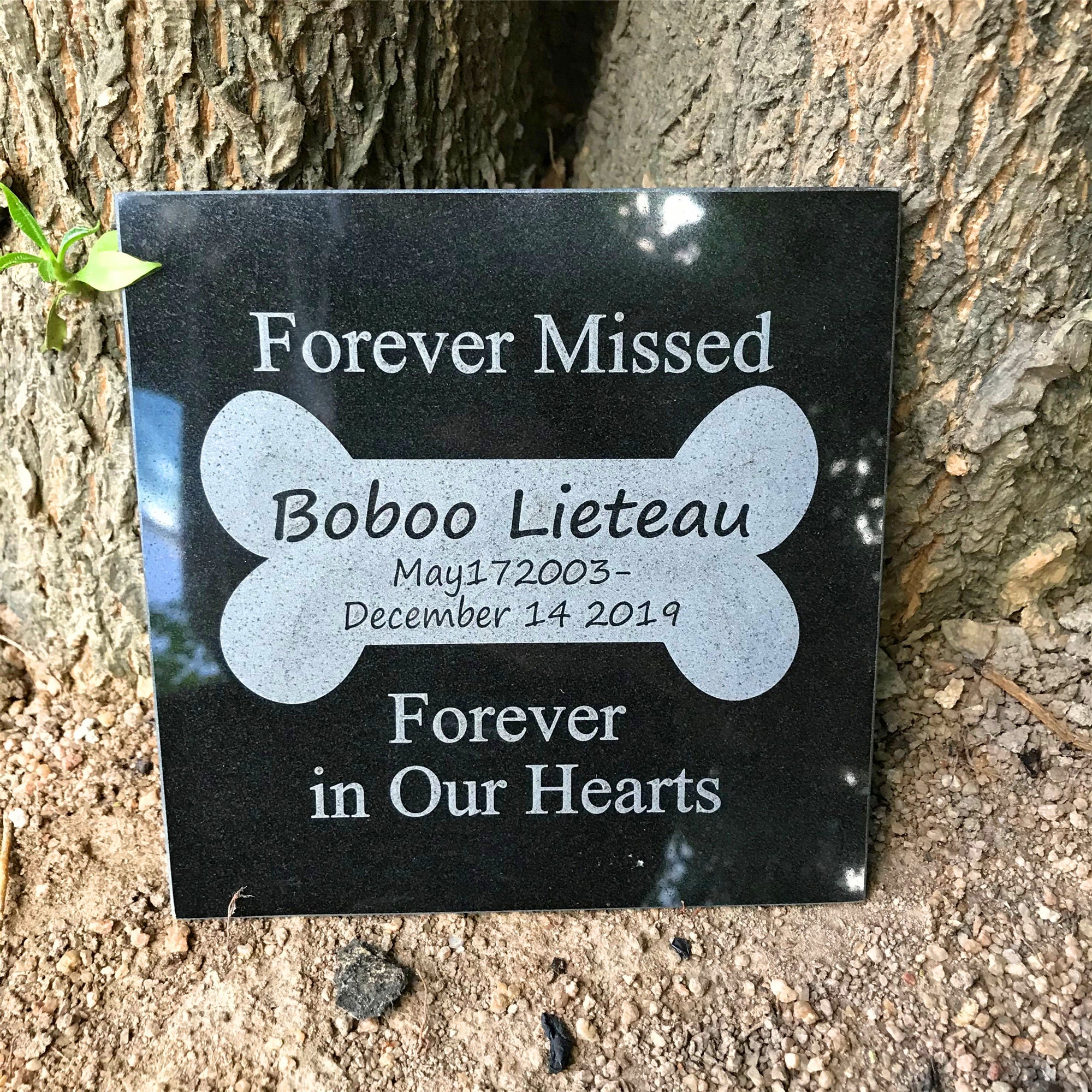 Black Granite Dog Memorial Stones Bone Pattern Pet Memorial Etsy