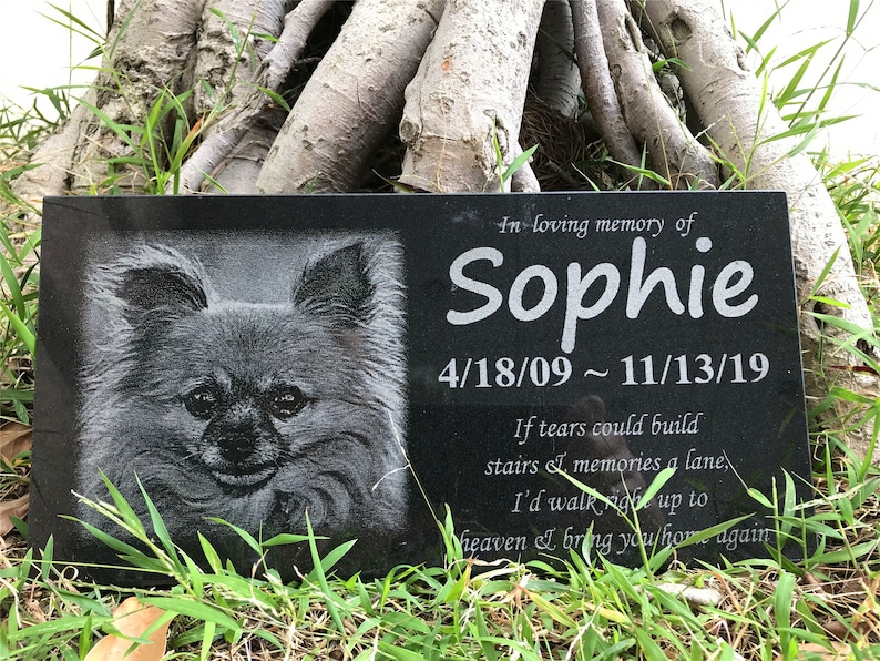 Pet Memorial Stones Engraved with PhotoNameDates And Quote Etsy