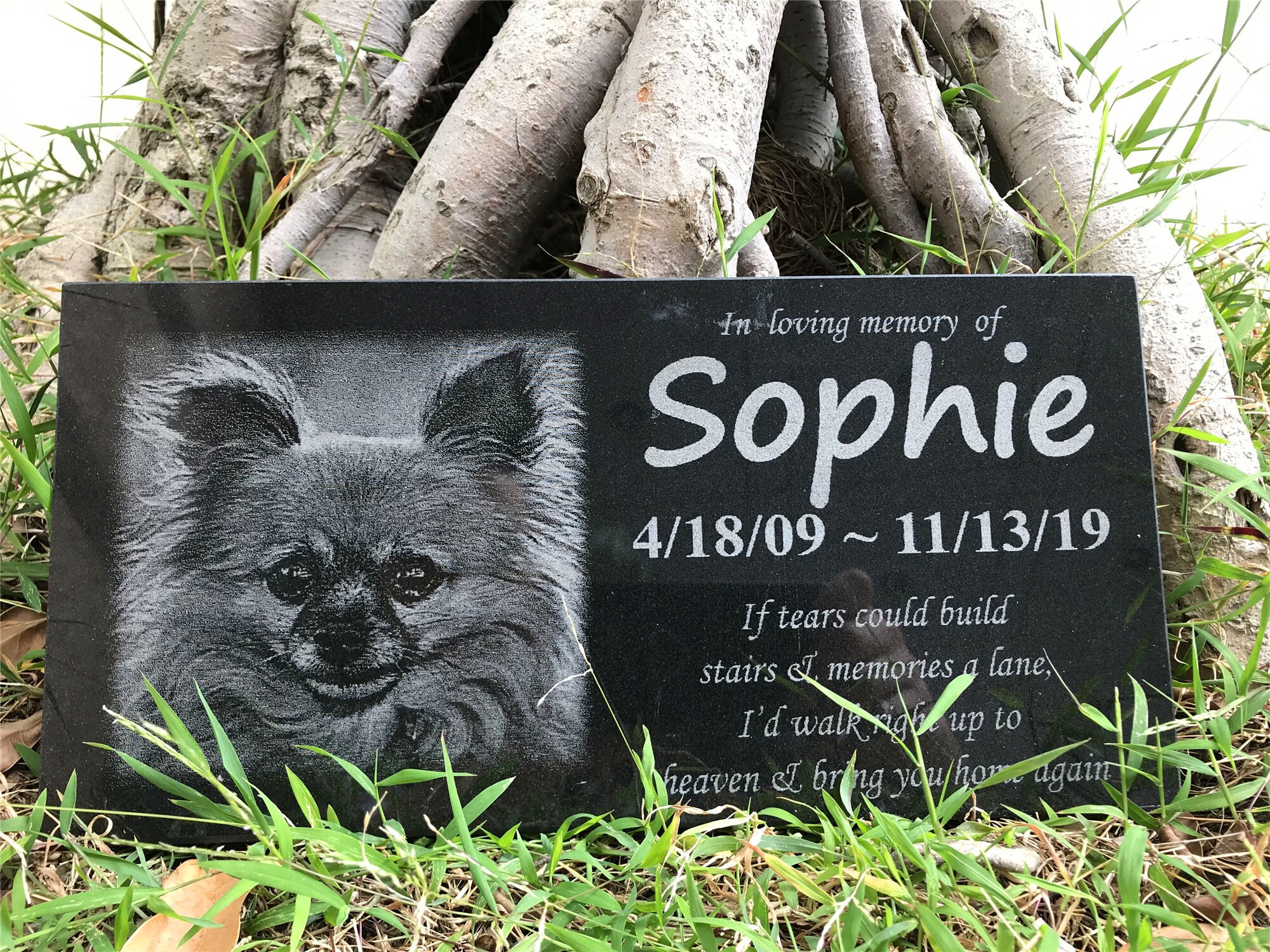 Pet Memorial Stones Engraved With Photonamedates and Quote Etsy Australia