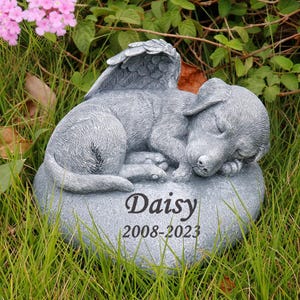 Può includere: Una statua commemorativa in pietra grigia raffigurante un cucciolo addormentato con ali d'angelo su una base a forma di cuore. La base è incisa con il nome Daisy e gli anni 2008-2023 in un carattere serif scuro, con dettagli del pelo scolpiti.