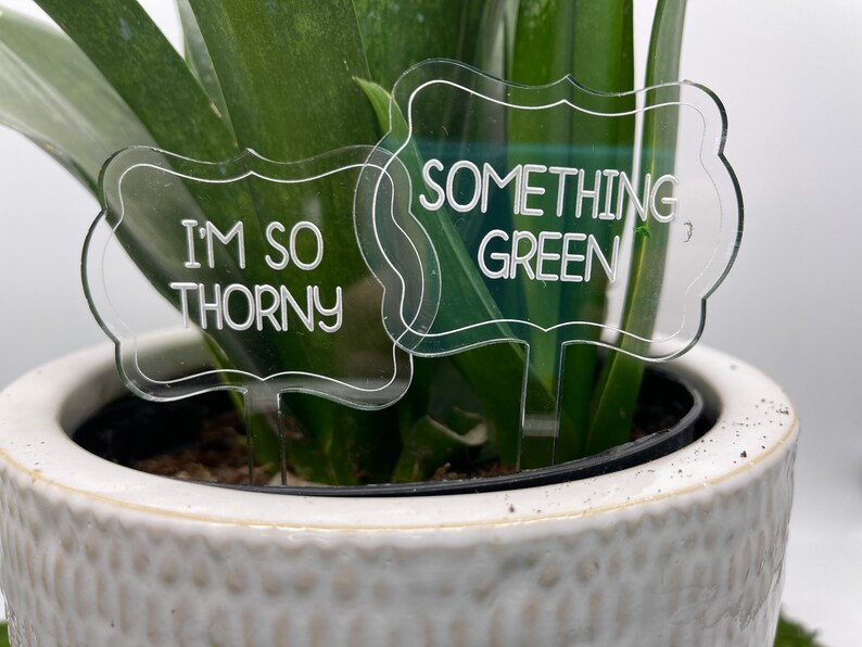 Funny Plant Markers Snarky Plant Stakes Houseplant Name Etsy