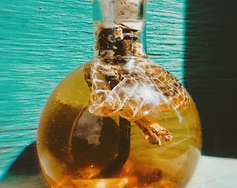 Witch Bottle