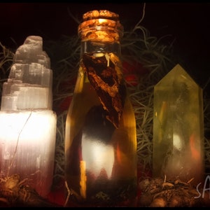 May include: A clear glass bottle with a cork stopper filled with a dark liquid and a brown piece of bark. The bottle is sitting on a bed of brown moss with a white selenite crystal on the left and a clear quartz crystal on the right. The text "SAXU" is visible in the lower right corner of the image.