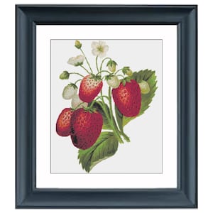 Vintage Strawberry Pattern - Strawberries with Flowers - Red  Strawberry - White Strawberry - Cross Stitch Pattern - PDF Pattern Only