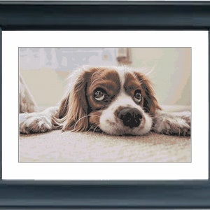 Sad Dog Cross Stitch Pattern - Cross Stitch Pattern - PDF Pattern Only
