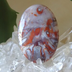 Petrified Wood Cabochon, Petrified Red Tube Palm Root Cabochon, From a Veteran Owned Studio  134L0062