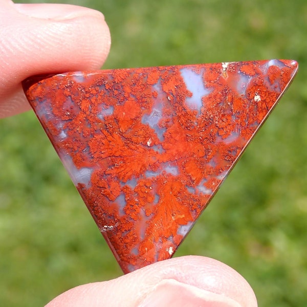 Red Plume Agate Cabochon, Red Plumes in Blueish Gray Matrix. 121Y0013