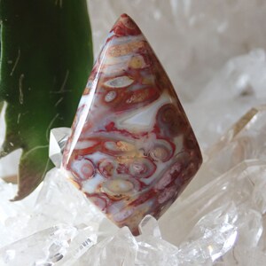 Red Petrified Palm Root Cabochon: Indonesian Agate, Veteran Made