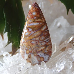Red Petrified Palm Root Cabochon: Indonesian Agate, 46 mm