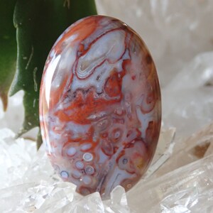 Red Petrified Palm Root Cabochon: Indonesian Agate, Veteran Made