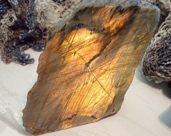 Stunning Fire Sunset Labradorite Standup with bright Red and Gold Flashes, Ethically Sourced, Natural Labradorite, Sunset Labradorite