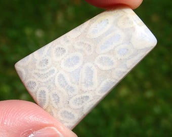 Fossiel koraal cabochon • Versteende koraalsteen met bloemmotief (38 x 25 mm)