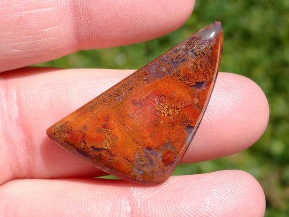 5 x 26 x 40 mm approx quality gemstone 8 piece Multi shape of Red Agate Size 5 x 23 x 27 AAA