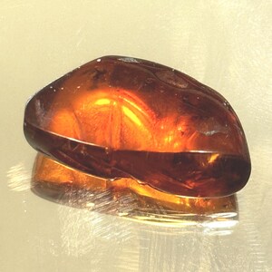 Ethically Sourced Dominican Amber with Insect Inclusion • Miocene–Oligocene Fossil Resin • La Cumbre Mine • Veteran Owned Studio DOM-2