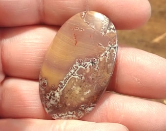 Sonora Dendritic Jasper Cabochon, Milk Chocolate Brown and Creamy White with Nice Maroon and Tan Dendrites.  123L0045