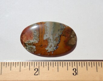 Picture Jasper Cabochon, Beige, Blue and Reddish Brown