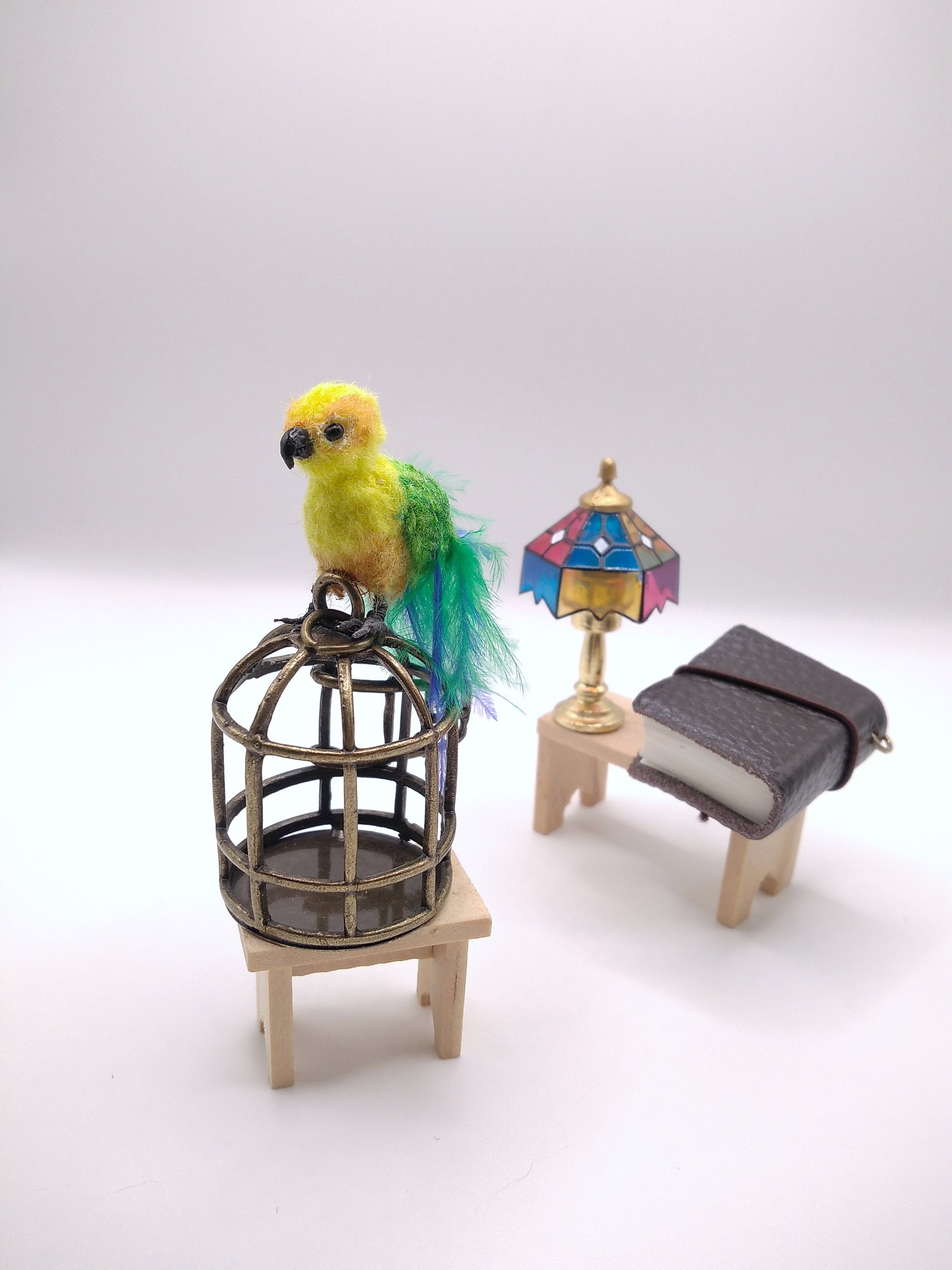 Conure toys hotsell