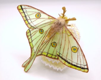 Spanish Moon Moth Brooch: Handmade Cold Porcelain Butterfly Jewelry