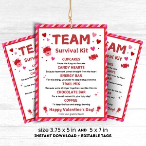 Étiquette pour kit de survie d'équipe Saint-Valentin Collègue Étiquette-cadeau pour la Saint-Valentin Remerciement du personnel enseignant Étiquette-cadeau pour la Saint-Valentin Carte de sac cadeaux pour la Saint-Valentin