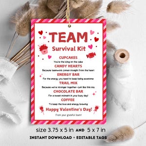Valentine's Day Team Survival Kit Tag Valentines for Coworker Tag Staff Appreciation Teacher Valentine Gift Tag Valentine Craft for Work