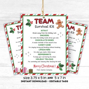 Kit di sopravvivenza modificabile per apprezzamento del team di Natale Etichetta regalo per apprezzamento dei dipendenti sul lavoro Etichetta per calza di Natale Etichetta per bomboniera per sacchetto di caramelle di Natale