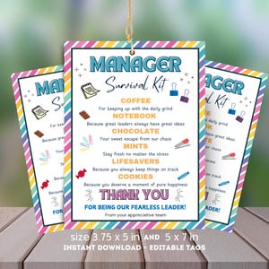 Leiter Survival Kit Tag Boss Tag Wertschätzung Geschenk Arbeit Notfall Kit Leckerli Tasche Tag Danke Team Leiter Business Projektleiter Geschenk
